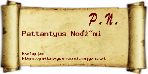 Pattantyus Noémi névjegykártya